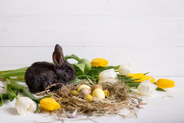 Easter bunny with easter eggs with tulips and a nest of hay. Positive spring easter composition.