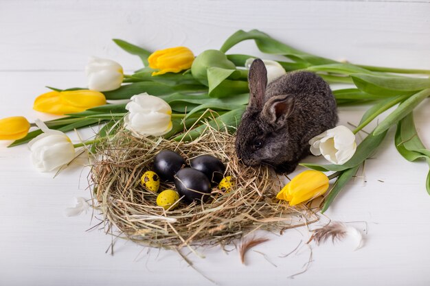 Easter bunny with easter eggs with tulips and a nest of hay. Positive spring easter composition.