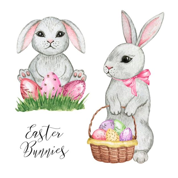 Easter bunny with eggs clipart watercolor hand drawn illustration Spring bunny isolated