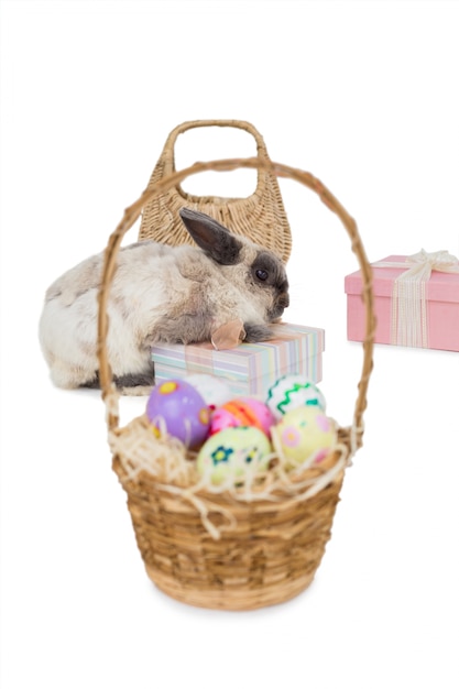 Coniglio di pasqua con scatole regalo e cesto di vimini