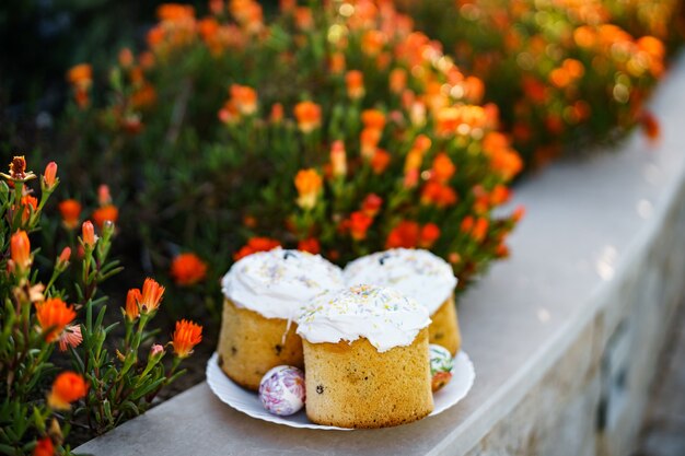 Easter cakes in a plate with easter eggs near a flower bed