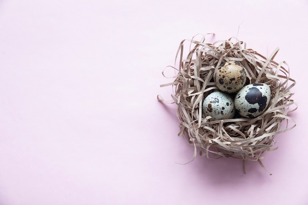 Easter card with eggs in nest over wood. Top view