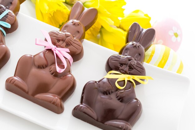 Easter chocolate bunnies made from solid milk and dark chocolate.