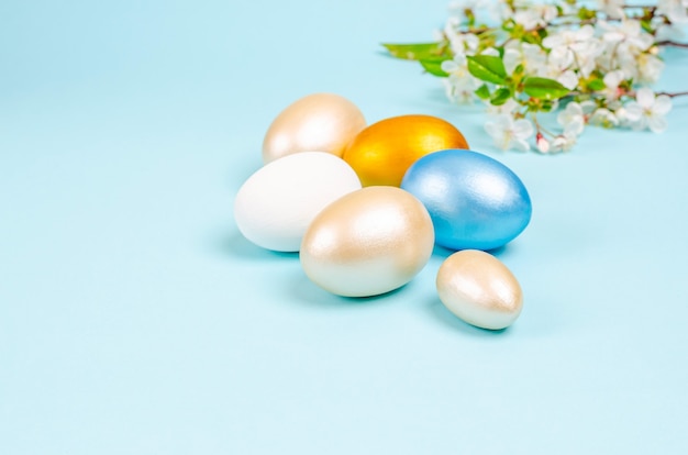 Easter colored eggs with cherry blossoms branches on a blue surface with copy space