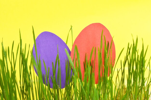 Easter colorful eggs in the grass on yellow background