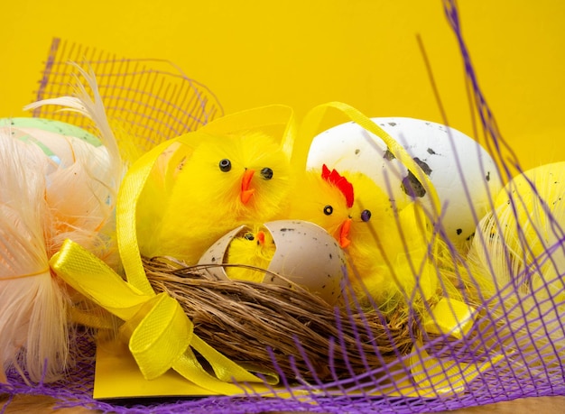 Easter composition colorful eggs chicken in nest color feather