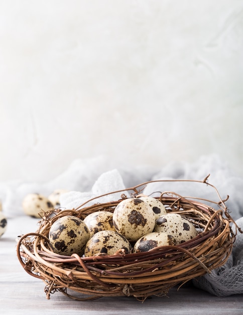 Easter composition of quail eggs in the nest