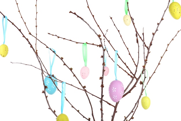 Easter composition with eggs on branches isolated on white