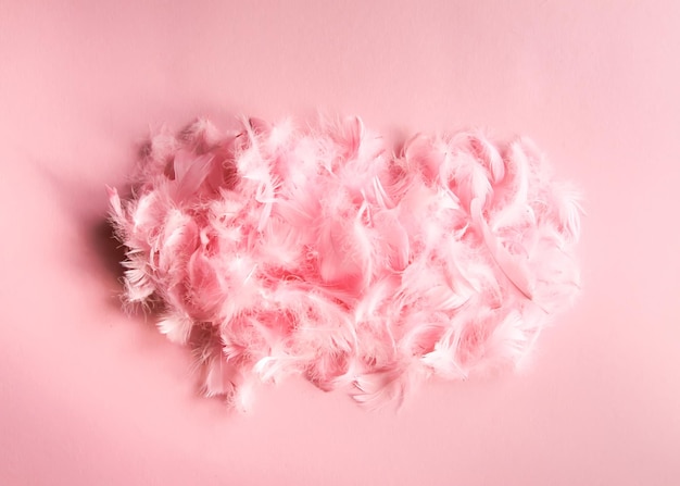 Photo easter composition with traditional decor. pink soft feathers on light pastel background.