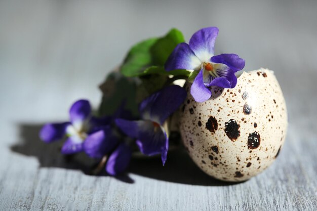 Easter composition with violets flowers in egg shells on wooden table