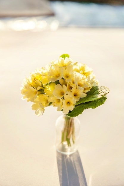 Easter concept. Bouquet of Primrose Primula with yellow flowers in glass vase