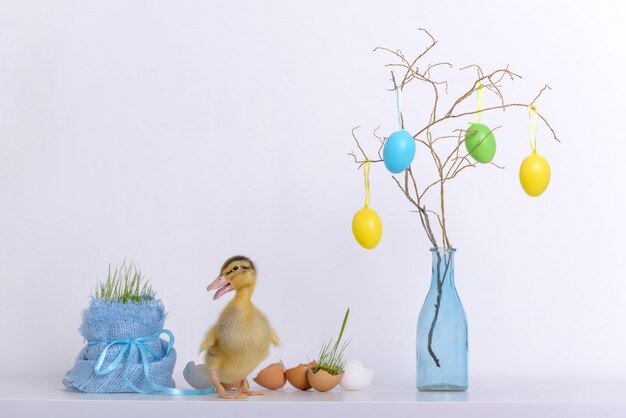 Easter decoration and little duckling