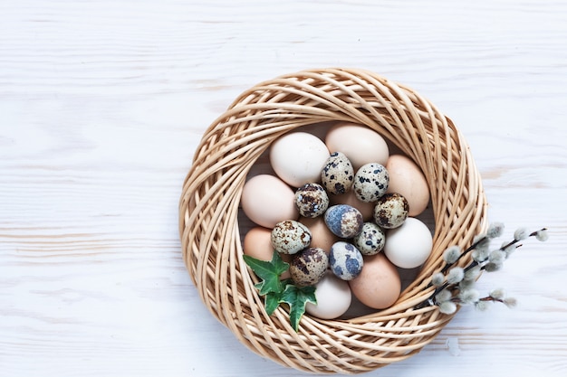 Easter decoration nest, pussy willow, natural eggs. 