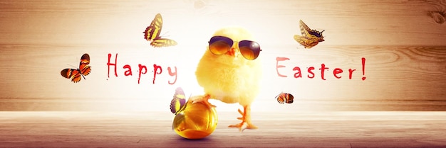 An Easter decoration with cool chicken Easter holiday concept