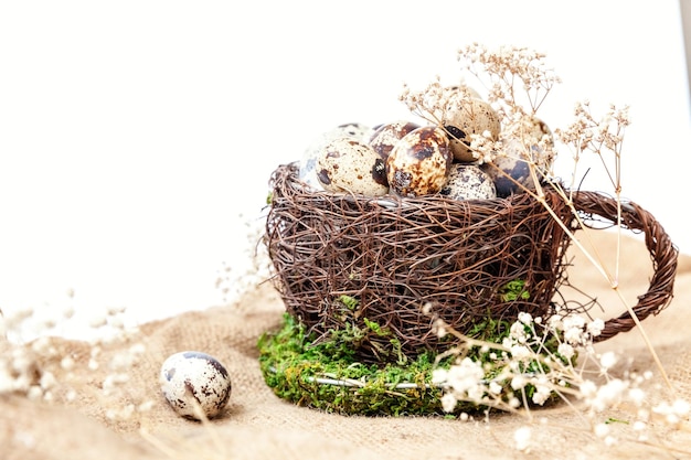 Easter decoration with egg in nest and cotton on white marble background