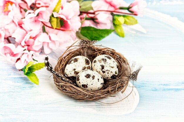 Easter decoration with flowers and eggs in nest. Selective focus