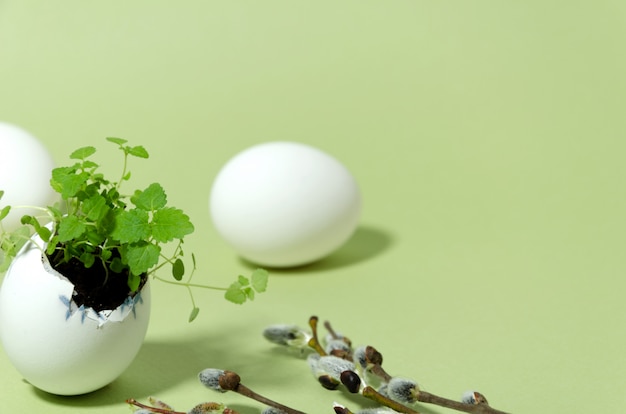 Easter decoration with green sprouts of lemon balm in a cute eggshell