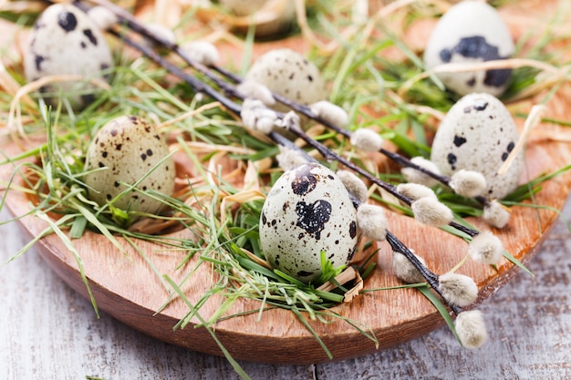 Easter decorations. Quail eggs in the nest 