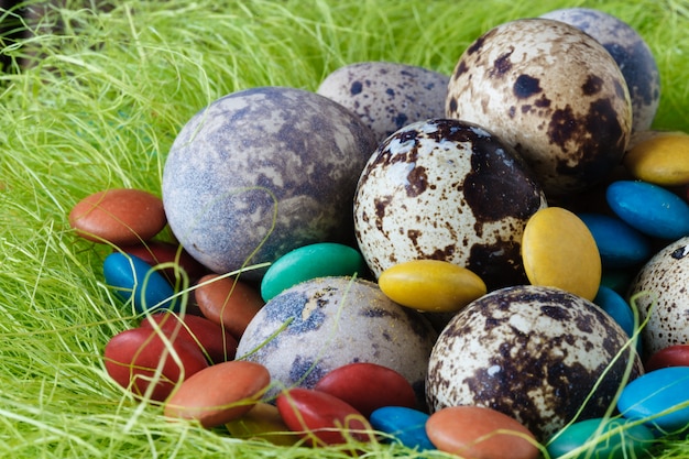 Easter decoraton with festive nest quail eggs