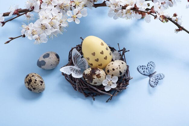 Easter eegs in the nest with blossom twigs and butterfly on blue background