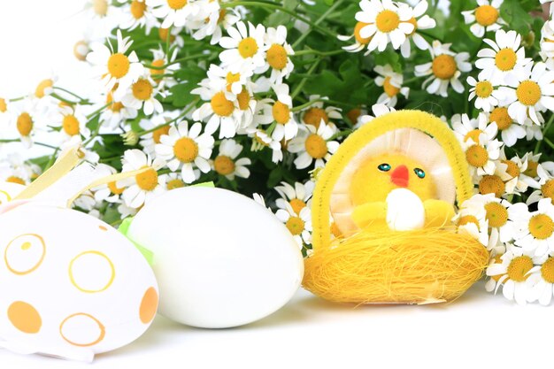 Easter egg chicken on a spring background of daisies