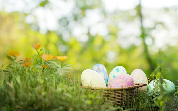 Easter egg in grass field mock up scene