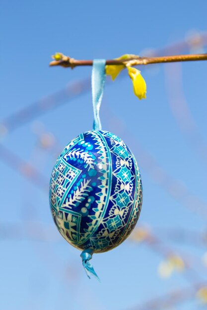 Easter egg hanging from branch