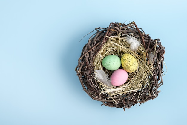 easter egg is a basket isolated on blue