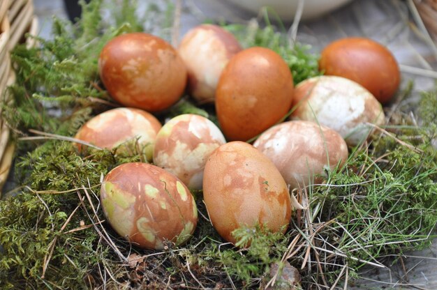 Foto bucce di cipolla dipinte con uovo di pasqua. colorare con le cipolle sbucciate. andare a celebrare la pasqua.