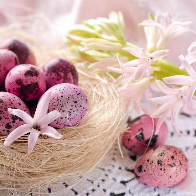 Easter egg pink color The quail eggs The flowers of the hyacinth Easter composition