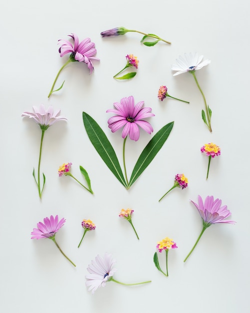 Easter egg shape made of colorful flowers and green leaves