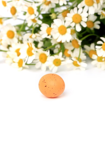 Easter egg on spring background daisy with blurred focus