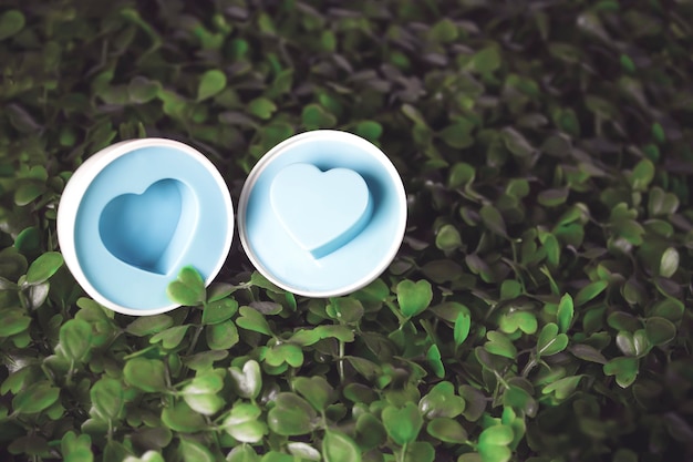 An Easter egg with a heart inside on the grass. Easter egg, a sign of the Easter day holiday. Close-up of a traditional Easter egg on the green grass.