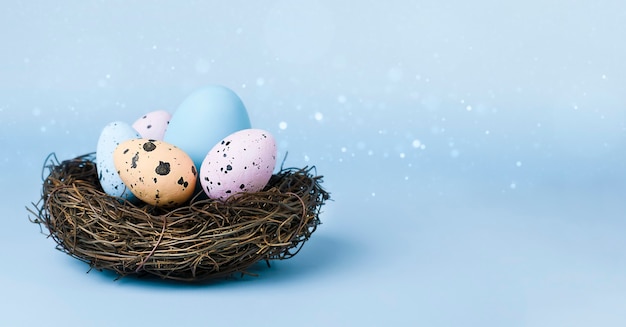 Easter eggs in animal nest on light blue wall