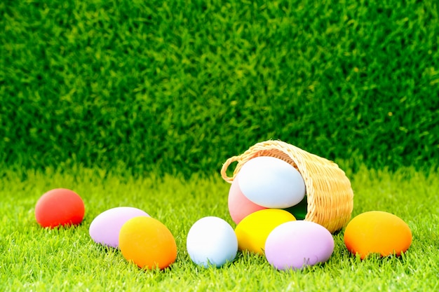 Easter eggs in the basket on green grass