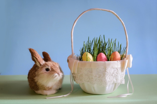 Merce nel carrello delle uova di pasqua con erba e coniglio