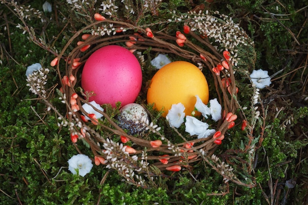 Easter eggs in a basket with a green moss