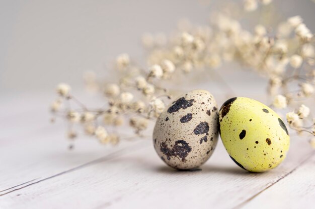 Easter eggs and a branch of gypsophila on a light background