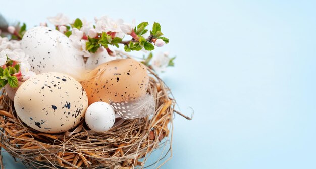 Easter eggs and cherry blossom