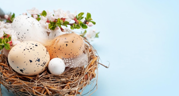 Easter eggs and cherry blossom