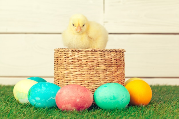 Easter eggs and chickens on green grass