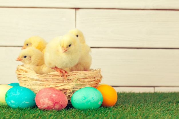 Easter eggs and chickens on green grass