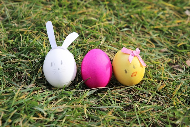 easter eggs decorated as rabbit and chiken