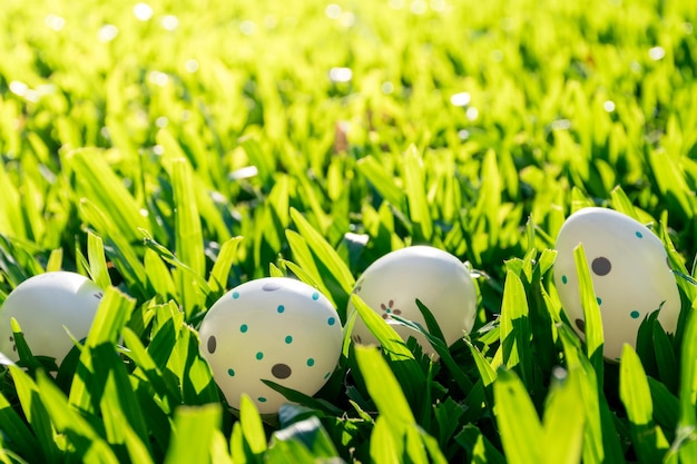 Easter eggs decorated among the grass for your search Tradition