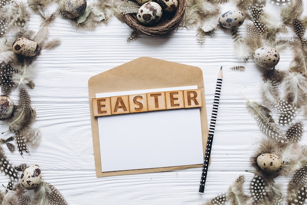 Easter eggs and feathers in the nest and letter for your text 