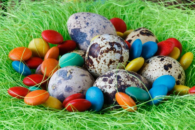 Easter eggs in festive nest, natural quail egg