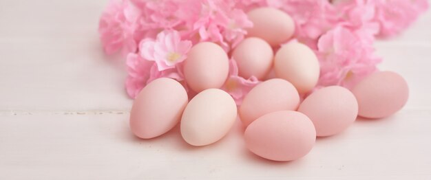 Easter eggs and flowers on white background.