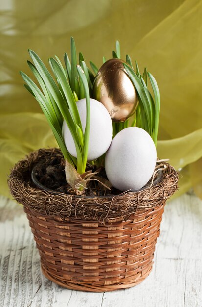 Easter eggs in fresh spring grass