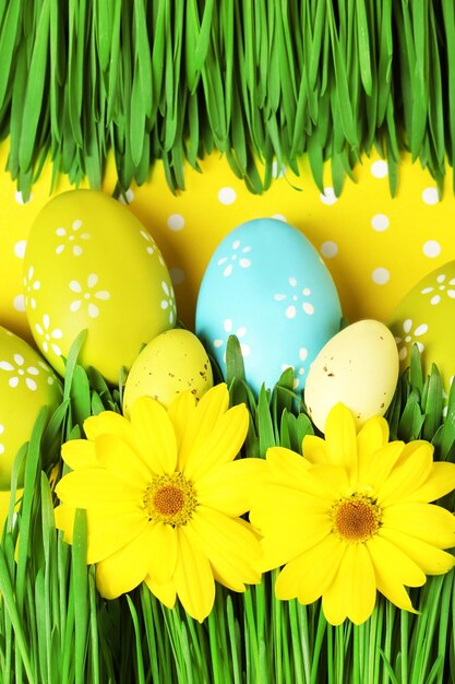 Easter eggs and grass on colorful paper background