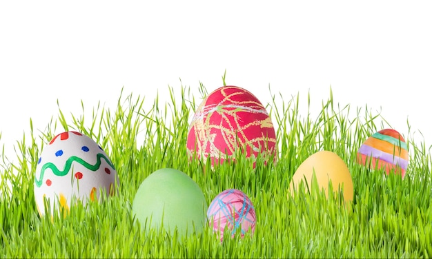 Easter eggs in grass isolated on white background, for your design